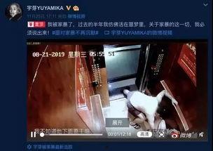 网友爆料家暴视频大全 第2张 网友爆料家暴视频大全 第2张